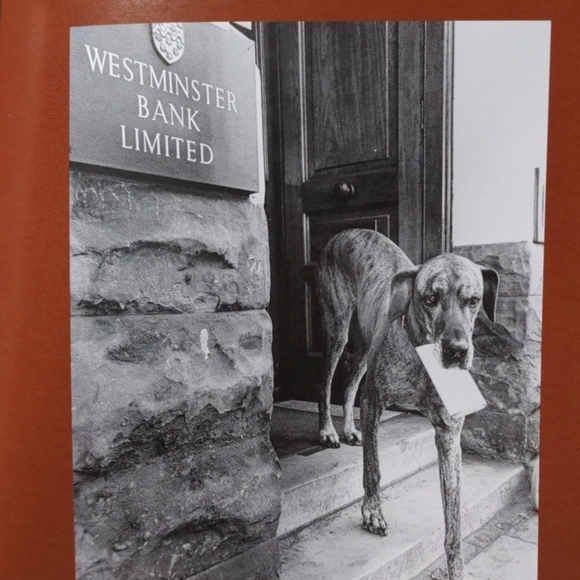 🌷🐕FREE in $25+ Bundle🐶 Book "My Love Unleashed" - Picture 4 of 9